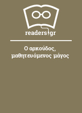 Ο αρκούδος, μαθητευόμενος μάγος