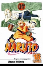 Naruto: Η επιλογή της Τσουνάντε