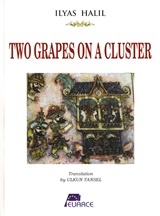 Two Grapes on a Cluster