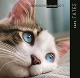 Γάτες: Ημερολόγιο 2017
