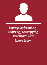 Παναγιωτόπουλος Ιωάννης Καθηγητής Πανεπιστημίου Ιωαννίνων