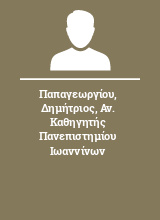 Παπαγεωργίου Δημήτριος Αν. Καθηγητής Πανεπιστημίου Ιωαννίνων