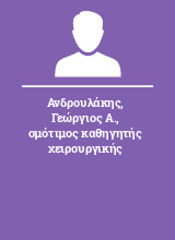 Ανδρουλάκης Γεώργιος Α. ομότιμος καθηγητής χειρουργικής