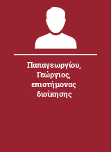 Παπαγεωργίου Γεώργιος επιστήμονας διοίκησης