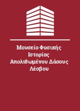 Μουσείο Φυσικής Ιστορίας Απολιθωμένου Δάσους Λέσβου