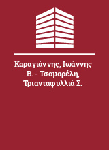 Καραγιάννης Ιωάννης Β. - Τσομαρέλη Τριανταφυλλιά Σ.